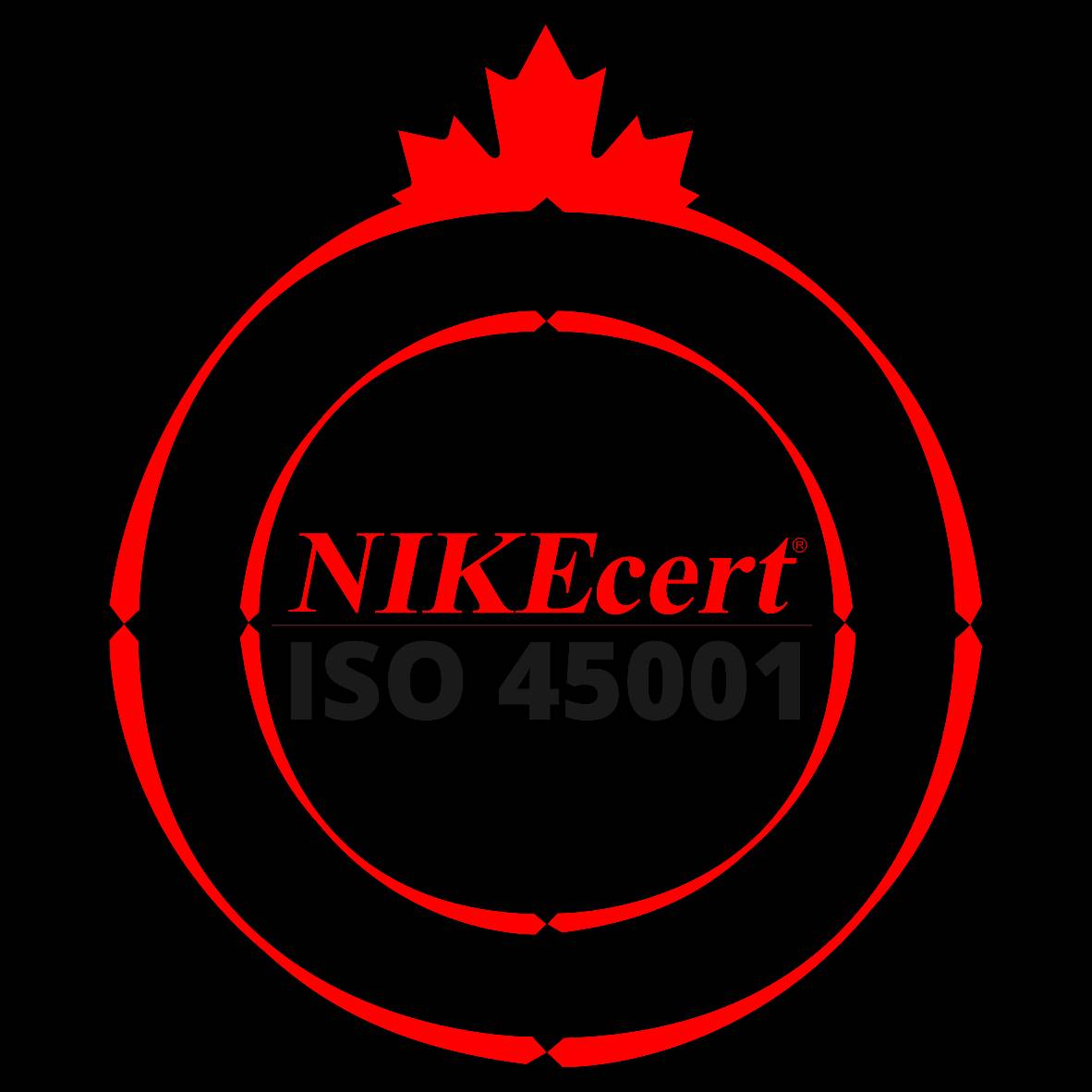 ISO 45001